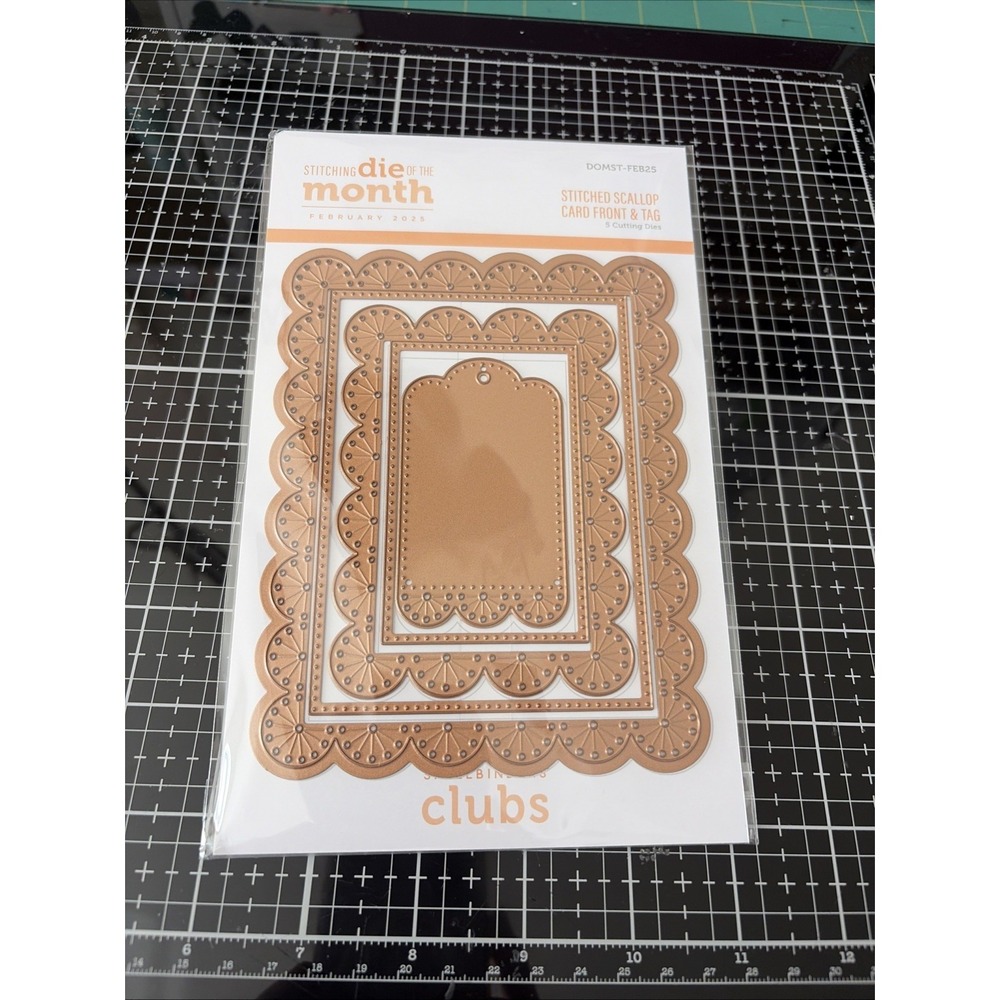 SpellBinders Stitching Die Of The Month February 25 Scalloped Card Front Tag New
